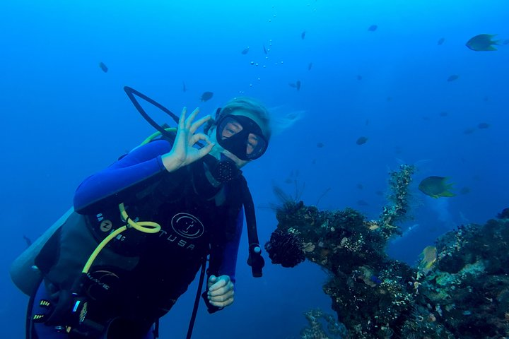 Scuba Certification - Photo 1 of 10